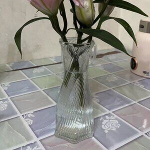 Simple Glass Vase